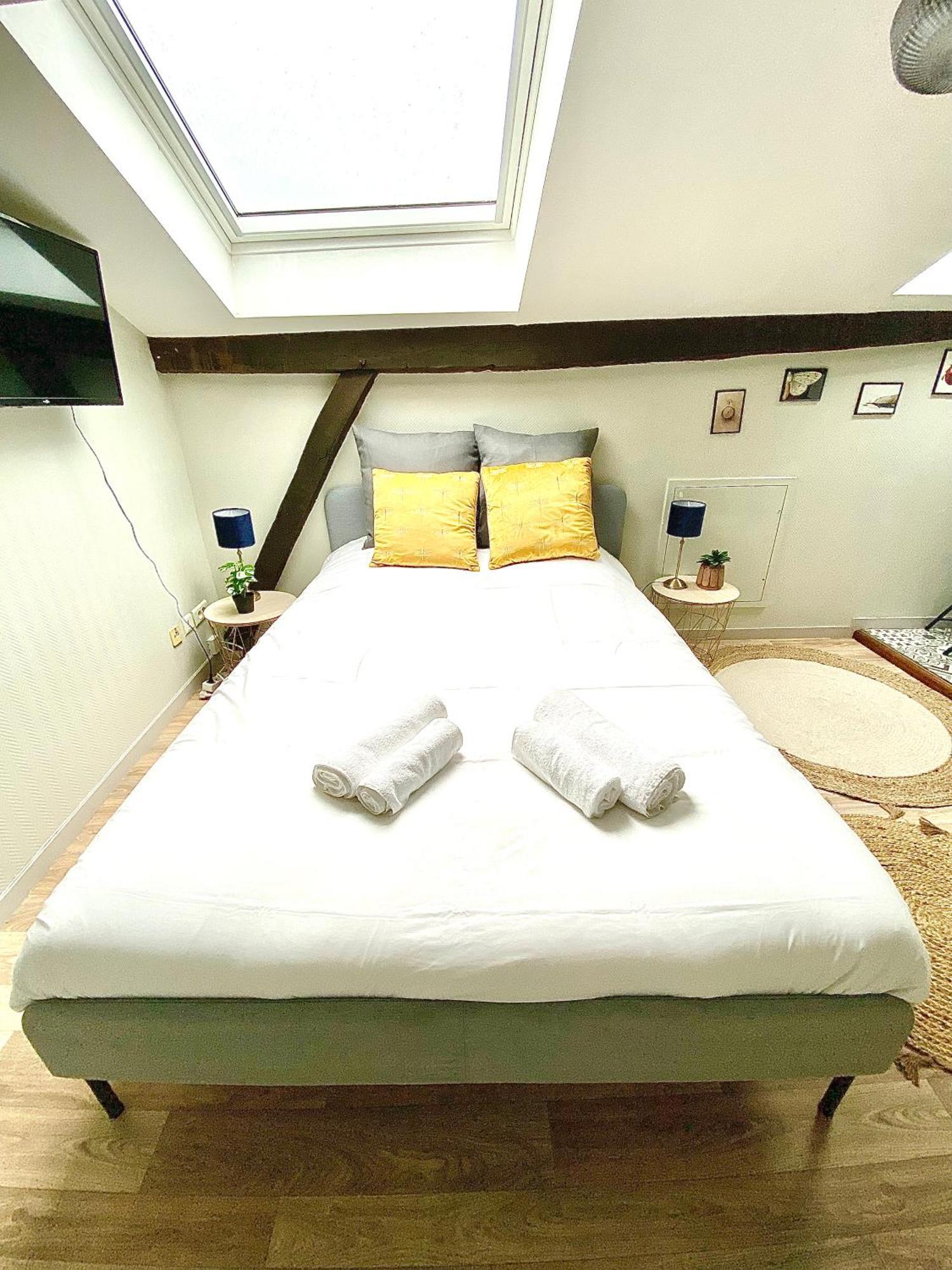 Le Barny Studio Cocooning En Hyper Centre リモージュ エクステリア 写真